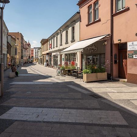 Central Platinum Apartments 24 Rybnik  Kültér fotó